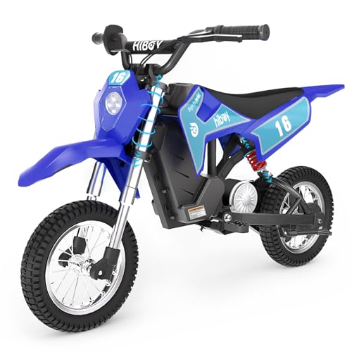 DK1 36V Electric Dirt Bike for Kids, 300W & 15.5 MPH, Ages 3-10