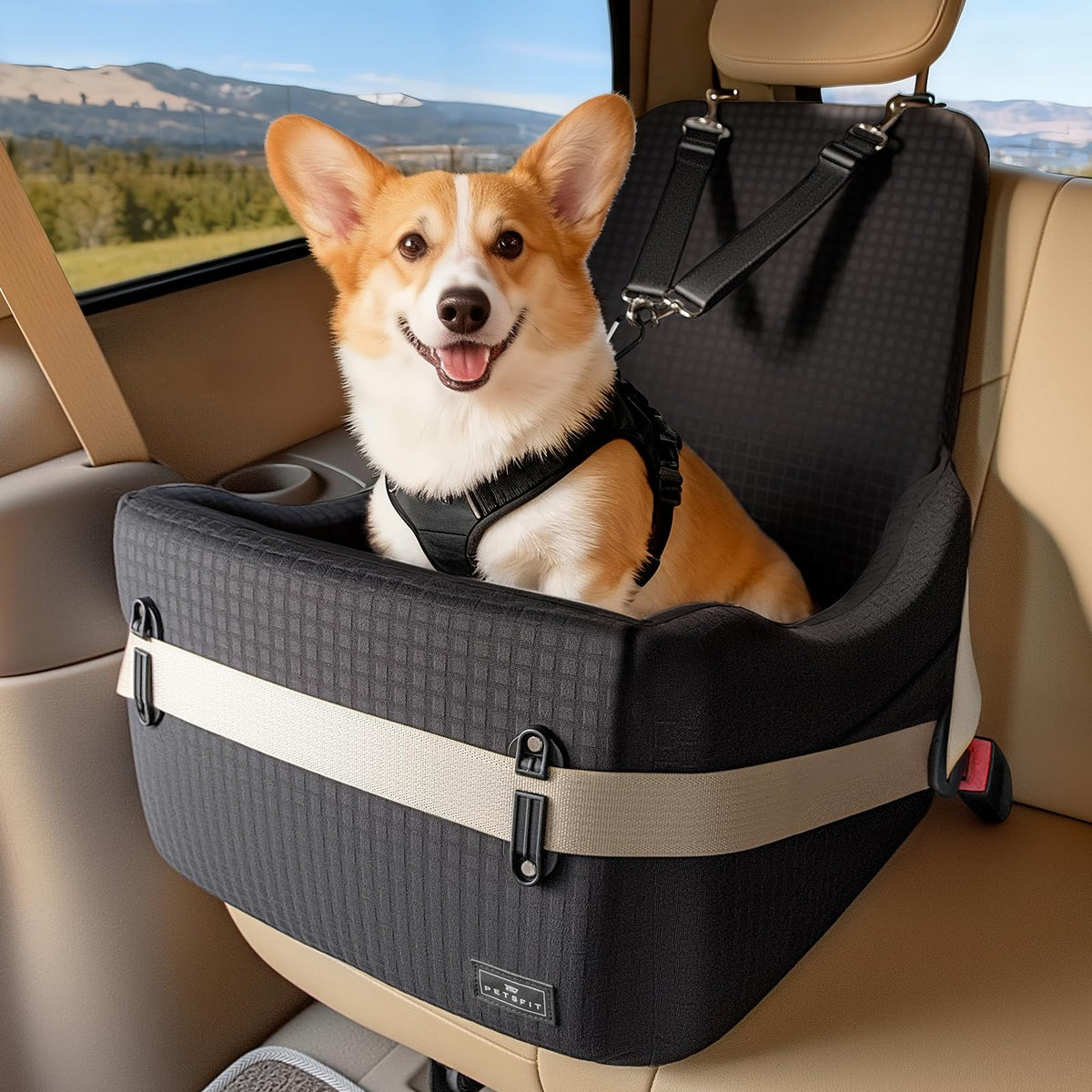 Dog Car Seat with Patented Safety System, 5" Elevated Cushion Fully Detachable Washable Cover, Memory Foam Dog Booster Car Seat for Small/Medium Dogs Up to 35 Lbs with Safety Belt