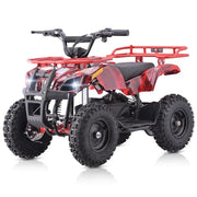 Electric 4 Wheeler for Kids,500W 36V Electric ATV