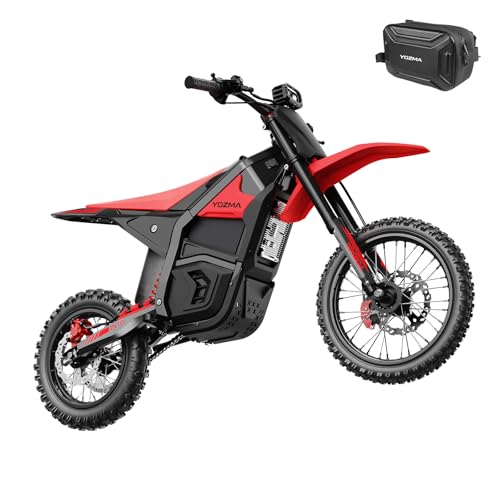 IN10 Electric Mini Dirt Bike for Teens & Adults