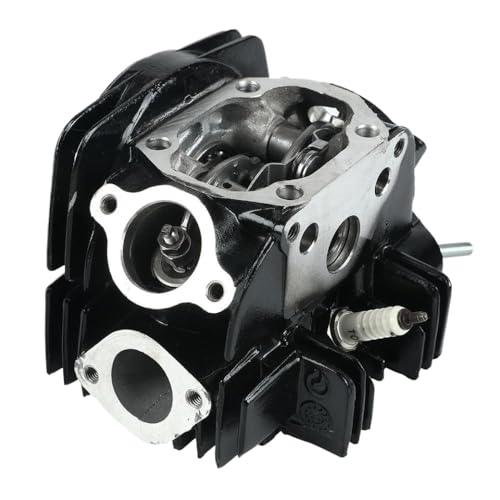 Cylinder Head Assembly Compatible with 125cc 1P52FMI Horizontal Engine Fits 52.4mm Bore LF 125 for Dirt Pit Bike ATV Quad Go Kart