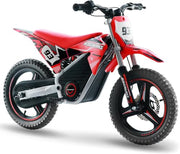 Kids Electric Dirt Bike, 36V 350W, 18.6 MPH, 14-Inch, Ages 5-8