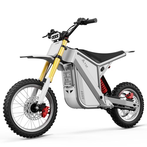 GT63 Electric Dirt Bike, 2600W Peak, 42 MPH, 48V 23Ah, 14/12 Tires