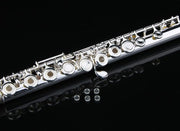 Silver Plated Intermediate 16 Keys Open/Closed Hole C Flute
