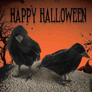 6 Pcs Halloween Black Crows Feathered Crows Realistic Looking Ravens Large Handmade Black Crow for Halloween Decoration Party Supplies
