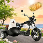 4000W 50MPH M1P Pro Electric Motorcycle