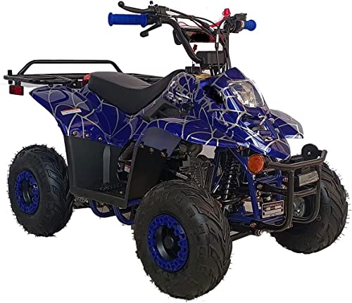 110cc ATV Four Wheelers Fully Automatic 4 Stroke Engine 6 Inch Tires Quads for Kids Spider Black