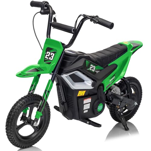 24V 10Ah Electric Dirt Bike, 350W Electric Motorcycle for Kids 6+