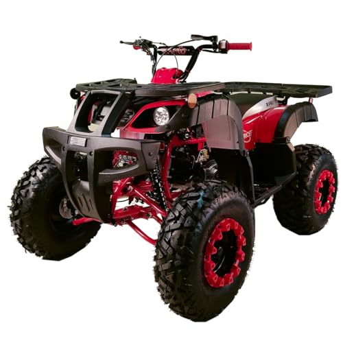 200 ATV Quad 4 Wheelers Utility ATV Full Size ATV Quad Adult ATVs Big Youth ATVs for Sale(Red)