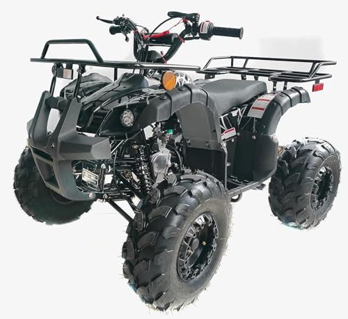 125cc ATV for Youth Sports Utility Gas Sports ATV with Reverse Led Lights Matching Rims Youth Quad Big Tires 18/19 inch Wheels (Black)