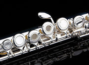 Silver Plated Intermediate 16 Keys Open/Closed Hole C Flute