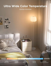 Lantern Floor Lamp, Halo Gradient RGBIC Smart Corner Lamp for Bedroom