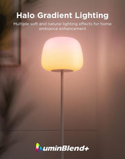 Lantern Floor Lamp, Halo Gradient RGBIC Smart Corner Lamp for Bedroom