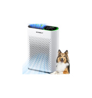 Air Purifiers for Bedroom Up to 1086 Ft², KN6391RGB, Black