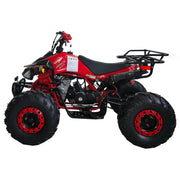 125cc ATV 4 Wheels Wheelers Quad 125 ATV Quads with LED Lights, Big 19"/18" Tires,Red