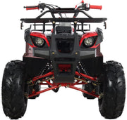 125cc ATV for Youth Sports Utility Gas Sports ATV with Reverse Led Lights Matching Rims Youth Quad Big Tires 18/19 inch Wheels (Black)