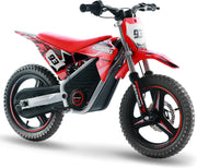 Kids Electric Dirt Bike, 36V 350W, 18.6 MPH, 14-Inch, Ages 5-8