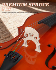 Full Size Cello, 4/4 Solid Wood Acoustic Cello