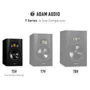 T5V Studio Monitor