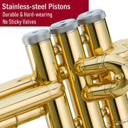 Gold Lacquer Bb Trumpet Set, Rose Brass Leadpipe