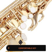 Student Alto Eb E-flat SAX Saxophone Gold Lacquer SAX Beginners Kit with Case, Reeds, Mouth Piece, Soft Cleaning Cloth and Rod, Gloves