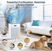 Pet Air Purifier, Odor and PM2.5 Sensors, Dual Air Quality Lights