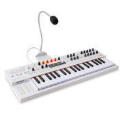 MiniFreak 37 Key Polyphonic 6-Voice Hybrid Synthesizer Keyboard (Standard, 37 Key)