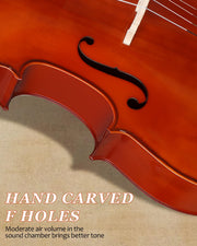 Full Size Cello, 4/4 Solid Wood Acoustic Cello