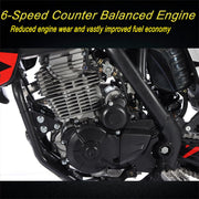 Templar X 250cc 6 Speed Dirt Bike with Zongshen Engine Pit Bike Gas Dirt Bikes Adult Pitbike, Big 21"/18" Wheels! (Black)