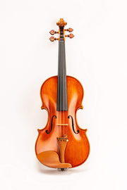 Model 220 Violin with Dominant strings, bow, case, rosin and shoulder rest - Open Clear Tone (4/4 - Size)