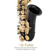 E Flat Alto Saxophone, Brass Sax with Carry Case, Black