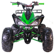 Leopard 125cc ATV Gas Powered Youth 4 Wheeler Quad with Automatic Transmission, Reverse Gear, Big 19"/18" Tires (Green)