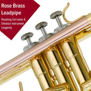 Gold Lacquer Bb Trumpet Set, Rose Brass Leadpipe