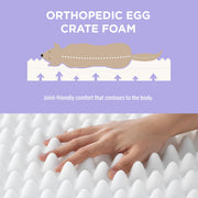 Cute Orthopedic Dog Bed for Extra Large Dogs, XL Waterproof Chic Flat Pet Beds with Removable Washable Cover, Fuzzy Thick Egg Crate Foam Pet Mat for Indoor Use (44" x 32", Grey)