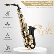 E Flat Alto Saxophone, Brass Sax with Carry Case, Black
