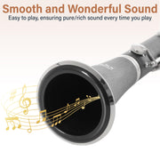 Ebonite Bb Clarinet Kit for Beginner - Black