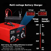 C20 Adjustable Battery Charger 12V 24V 36V 48V, 12A Pulses of High-Voltage Battery Desulfator Maintainer with Smart Chip for Lead-Acid LiFePO4 Lithium Batteries BLB-C20