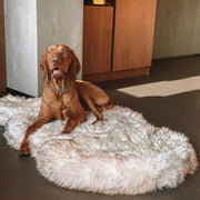 Faux Fur Orthopedic Dog Bed, Memory Foam, White w/Brown Tips 50"x30" Plush Dog Rug for Large & XL Dogs, Waterproof Washable Cover, Non-Slip Bottom, Senior Joint Support