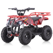 Electric 4 Wheeler for Kids,500W 36V Electric ATV