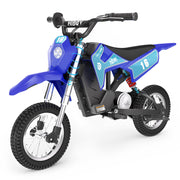 DK1 36V Electric Dirt Bike for Kids, 300W & 15.5 MPH, Ages 3-10