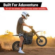 IN10 Electric Dirt Bike, 40MPH 2600W Off Road Electric Motorcycle