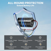 12V 20A LiFePO4 Battery Charger 14.6V Lithium Battery Charger 0V Activation, AC-DC Smart Automatic Charger, Anderson Connector, LED Indicator for Lipo Lithium Iron Phosphate Battery