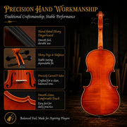 4/4 Full Size Violin Starter Kit,Fiddle Set for Adults Beginners Students with Gradient Finish,Handcrafted Solid Wood Full Size Violin set with Tuner, Case, Fingerboard Stickers, Shoulder Rest