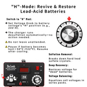 C20 Adjustable Battery Charger 12V 24V 36V 48V, 12A Pulses of High-Voltage Battery Desulfator Maintainer with Smart Chip for Lead-Acid LiFePO4 Lithium Batteries BLB-C20