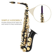 E Flat Alto Saxophone, Brass Sax with Carry Case, Black
