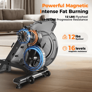 16-Level Magnetic Rowing Machine with Extended Slide Rail, App-Ready Monitor, Standard Seat, Black, 300 lb Capacity