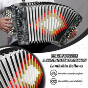 Accordions 31 Key 12 Bass Diatonic F/B/E Accordion Carry Kit (Gray)