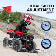 Electric 4 Wheeler for Kids,500W 36V Electric ATV