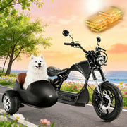 4000W 50MPH M1P Pro Electric Motorcycle