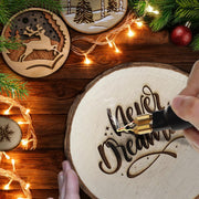 60W Wood Burning Kit, Pyrography Tool with 20 Wire Tips Professional Wood Burner Pen with Ball Tips, Fast Heating Tool for DIY Wood Crafts, Handmade Gifts, Artists and Beginners